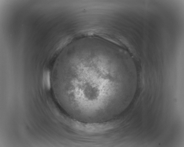 X0000081310022200701181914