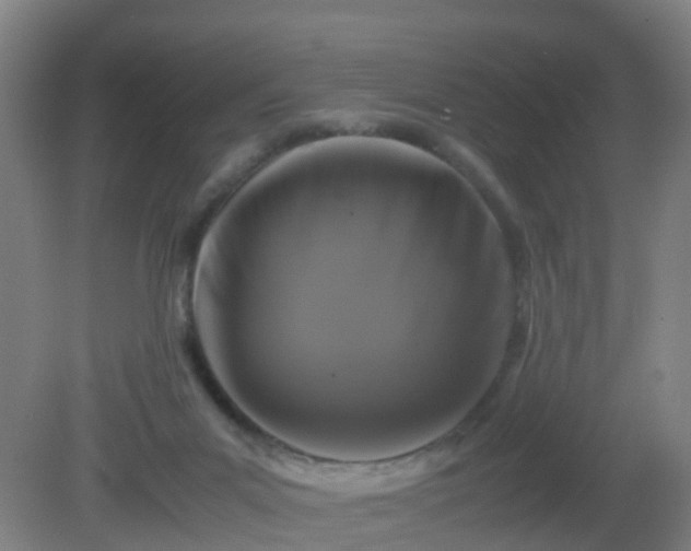 X0000081310023200701181914