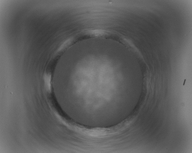 X0000081310024200701181914