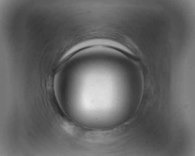 X0000081310025200701181914