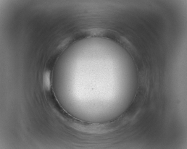 X0000081310028200701181914