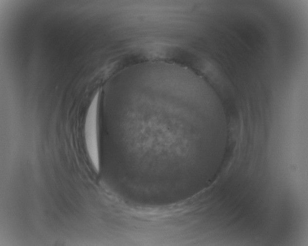 X0000081310029200701181914