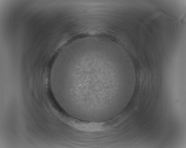 X0000081310032200701181914