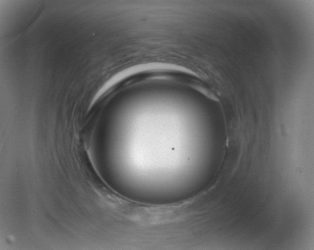 X0000081310033200701181914