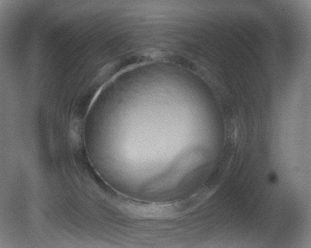 X0000081310036200701181914