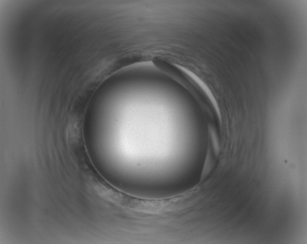 X0000081310037200701181914