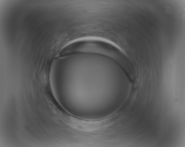 X0000081310039200701181913