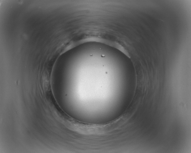 X0000081310040200701181913