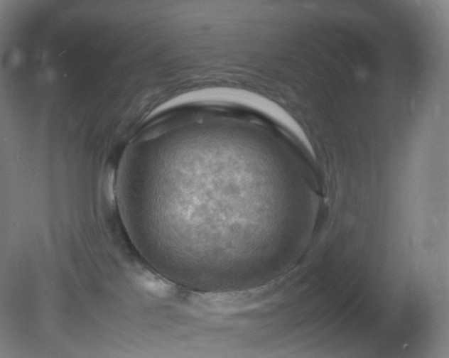 X0000081310041200701181913