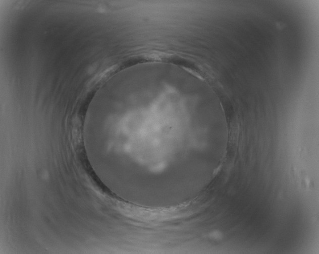 X0000081310043200701181913