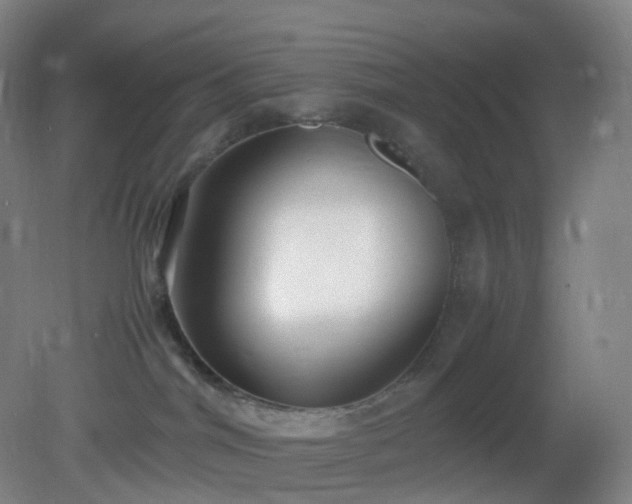 X0000081310044200701181913