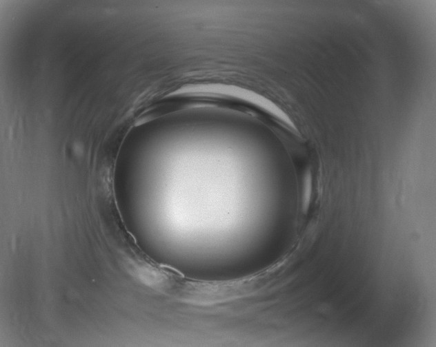 X0000081310045200701181913