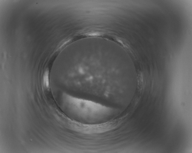 X0000081310046200701181913