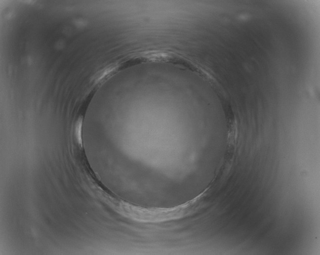 X0000081310047200701181913