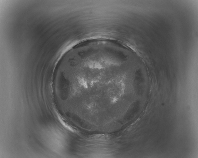 X0000081310050200701181913