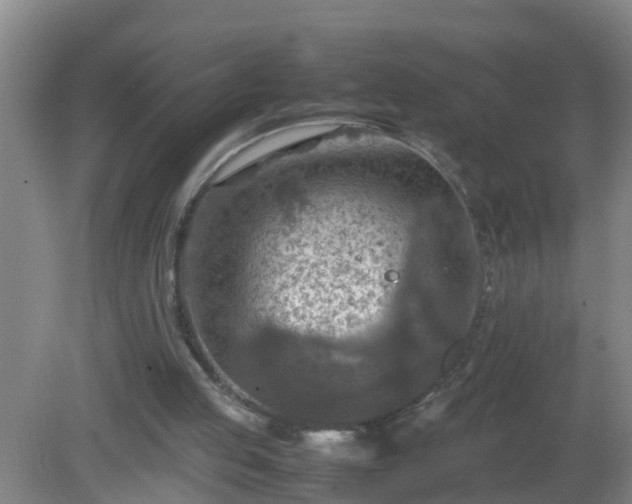 X0000081310053200701181913