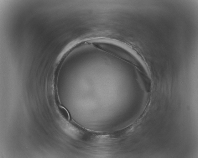 X0000081310054200701181913