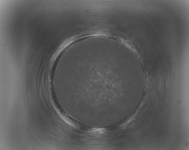 X0000081310055200701181913