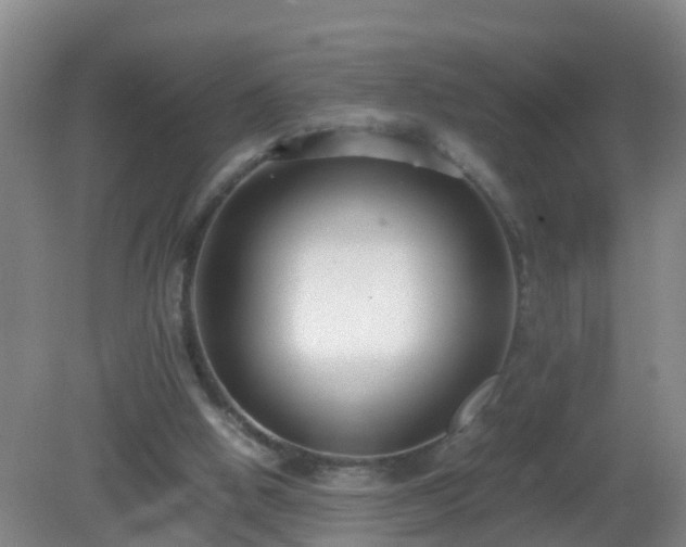 X0000081310058200701181913