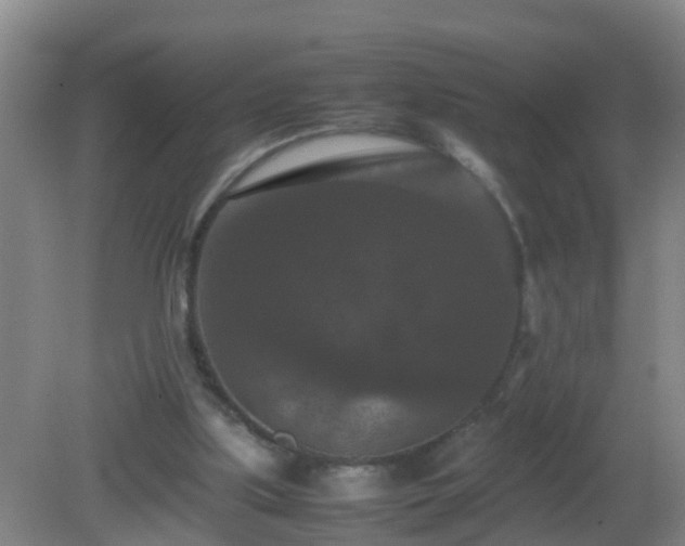 X0000081310059200701181913