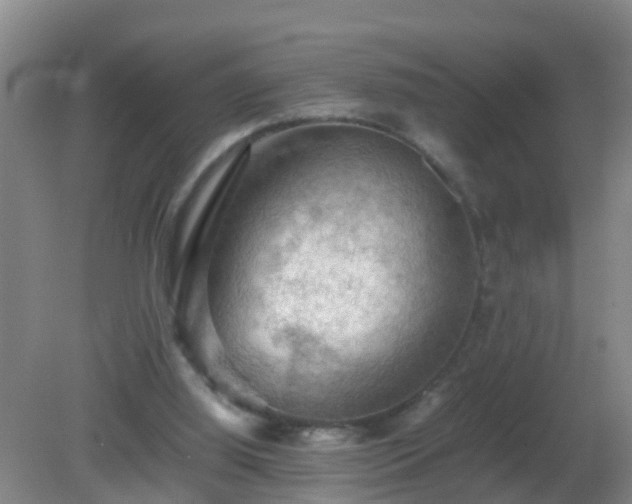 X0000081310060200701181913