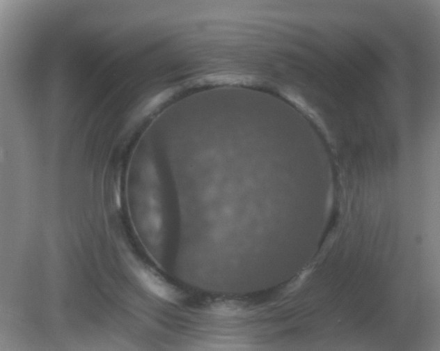 X0000081310062200701181913