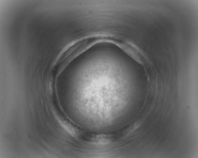 X0000081310064200701181913