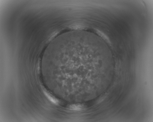 X0000081310065200701181913