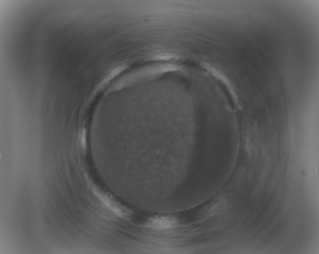 X0000081310067200701181913