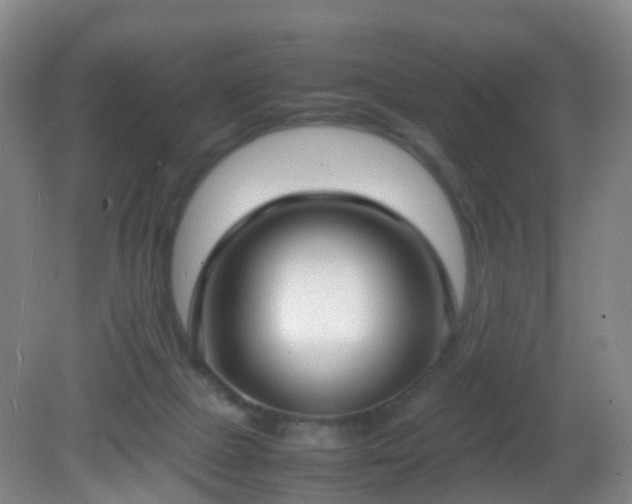 X0000081310073200701181913