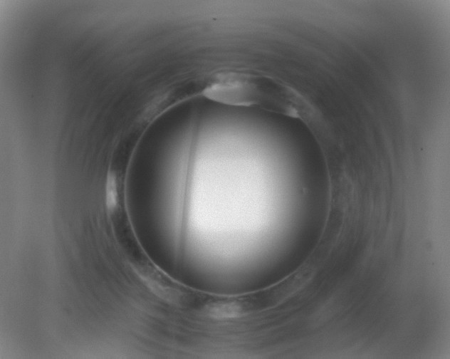 X0000081310075200701181913