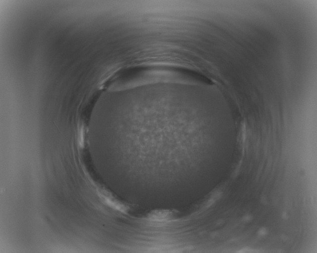 X0000081310076200701181913