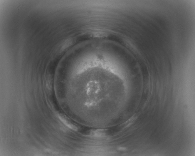 X0000081310078200701181913