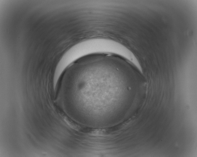 X0000081310080200701181913