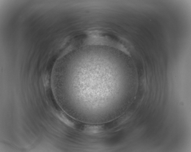 X0000081310081200701181913