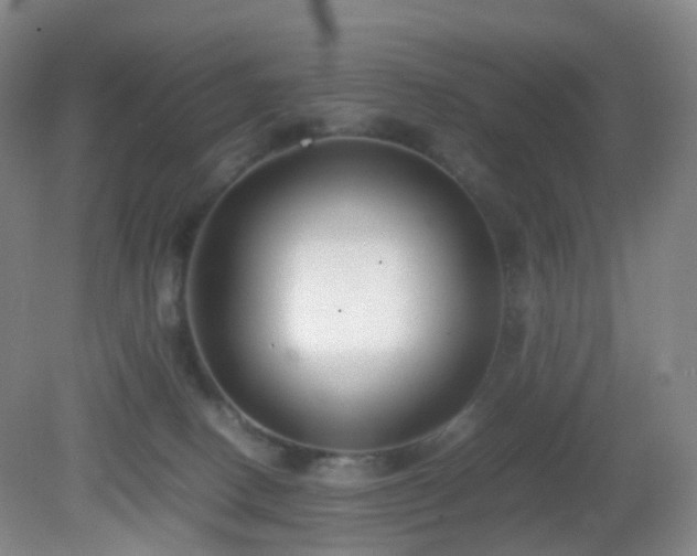 X0000081310082200701181913