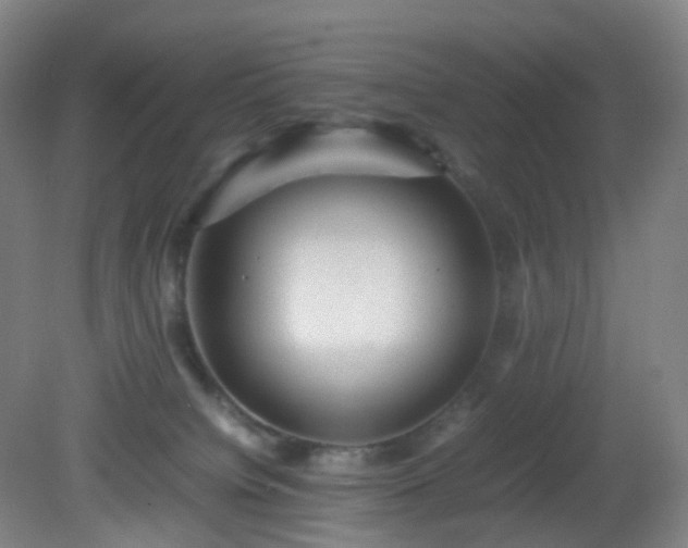 X0000081310084200701181913