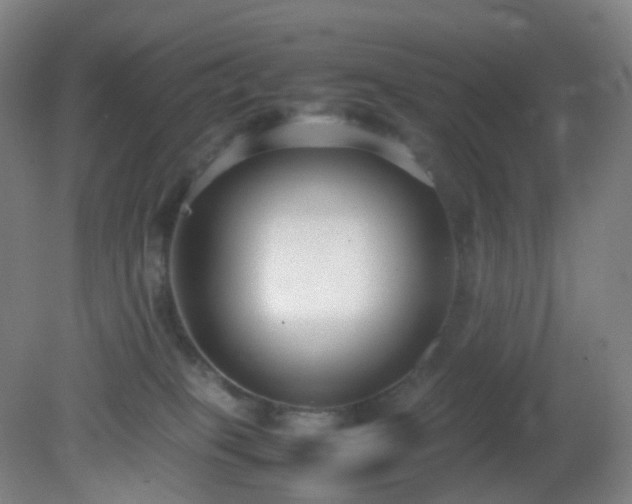 X0000081310085200701181913