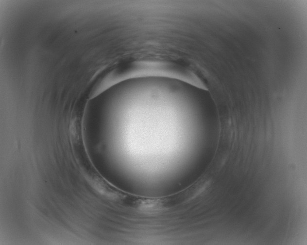 X0000081310088200701181913