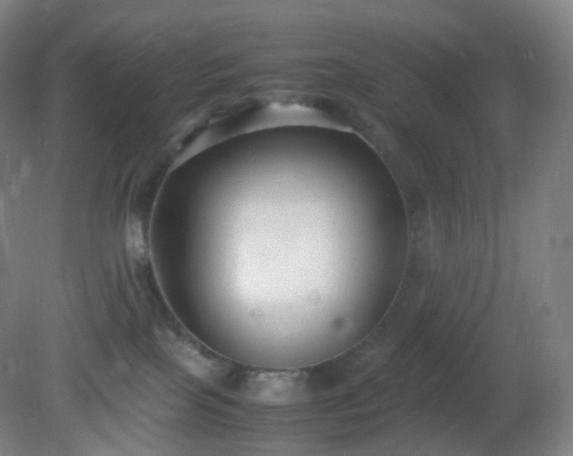 X0000081310089200701181913