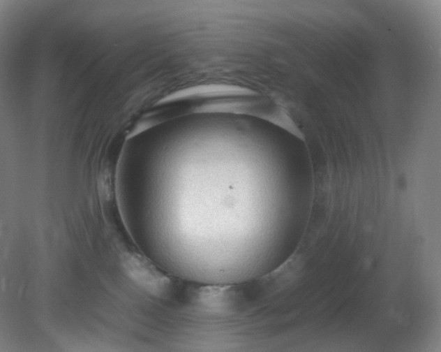 X0000081310090200701181913