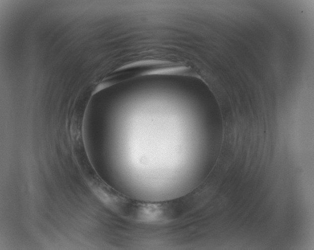 X0000081310091200701181913