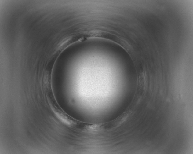 X0000081310092200701181913