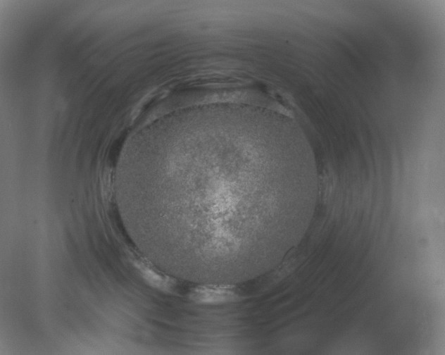 X0000081310093200701181913