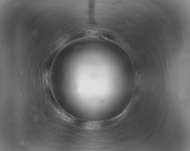 X0000081310094200701181913