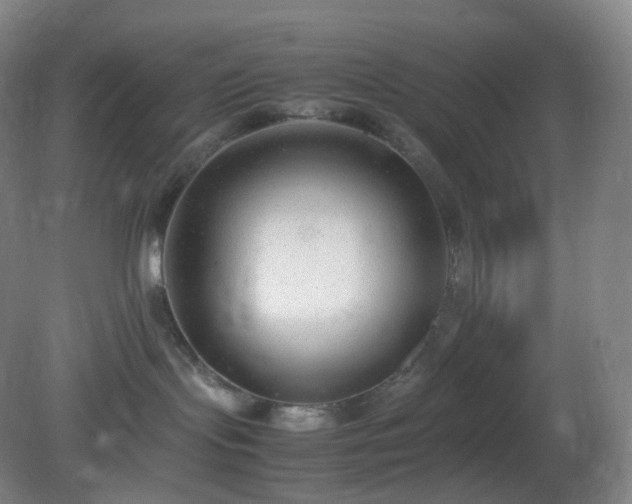 X0000081310095200701181913