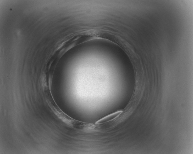 X0000081310096200701181913