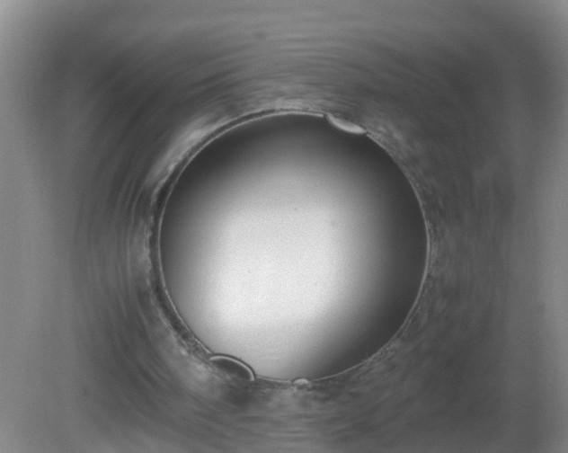 X0000081310098200701181912