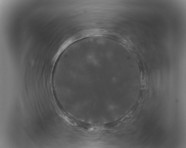 X0000081310099200701181912