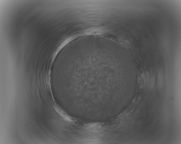 X0000081310100200701181912